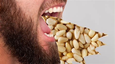 Popular New. . Nut in mouth
